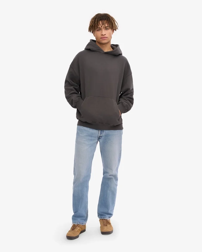 Sweat à capuche oversize en coton bio - Gris lave