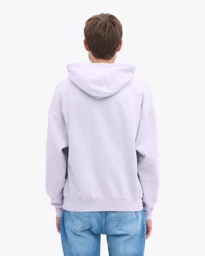 Sweat à capuche oversize en coton bio - Lavande pâle