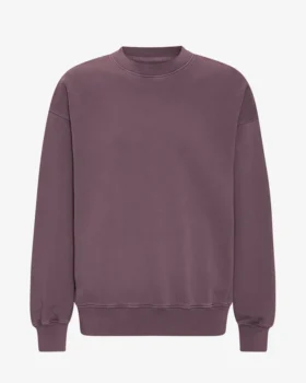 T-shirt à col rond oversize en coton bio - Raisin délavé