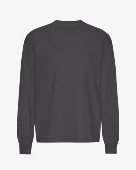 T-shirt à manches longues oversize en coton bio - Gris lave