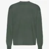 T-shirt à manches longues oversize en coton bio - Vert forêt de minuit