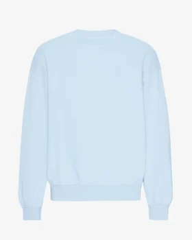 T-shirt oversize bio - Bleu polaire