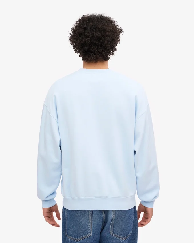 T-shirt oversize bio - Bleu polaire