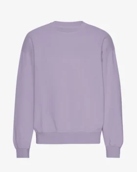 T-shirt oversize en coton bio - Violet jade
